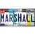 Marshall Strip Art Novelty Sticker Decal