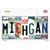 Michigan Strip Art Novelty Sticker Decal