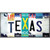 Texas Strip Art Novelty Sticker Decal