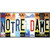 Notre Dame Strip Art Novelty Sticker Decal