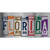 Florida Art Novelty Sticker Decal