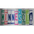 Minnesota Art Novelty Sticker Decal