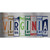 Virginia Art Novelty Sticker Decal