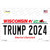 Trump 2024 Wisconsin Novelty Sticker Decal