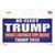 Re-Elect Trump Novelty Sticker Decal