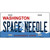 Space Needle Washington Metal Novelty License Plate