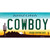 Cowboy Arizona Novelty Sticker Decal