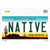 Native Arizona Novelty Sticker Decal