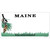 Maine State Blank Novelty Sticker Decal