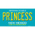 Princess New Mexico Teal Novelty Sticker Decal