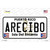 Arecibo Puerto Rico Novelty Sticker Decal