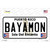 Bayamon Novelty Sticker Decal