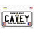 Cayey Puerto Rico Novelty Sticker Decal