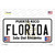 Florida Background Novelty Sticker Decal
