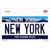 New York State Novelty Sticker Decal