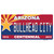 Arizona Centennial Bullhead City Novelty Sticker Decal