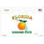 Florida State Background Novelty Sticker Decal