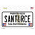 Santurce Puerto Rico Novelty Sticker Decal
