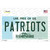 Patriots New Hampshire Novelty Sticker Decal