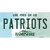 Patriots New Hampshire Novelty Sticker Decal
