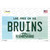 Bruins New Hampshire Novelty Sticker Decal