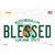 Blessed Florida Novelty Sticker Decal