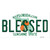 Blessed Florida Novelty Sticker Decal