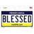 Blessed Pennsylvania State Novelty Sticker Decal