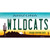 Wildcats Arizona Novelty Sticker Decal