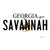 Savannah Georgia Novelty Sticker Decal