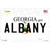 Albany Georgia Novelty Sticker Decal