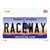 Raceway South Carolina Novelty Sticker Decal