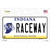 Raceway Indiana Novelty Sticker Decal