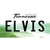 Elvis Tennessee Novelty Sticker Decal