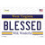 Blessed West Virginia Novelty Sticker Decal