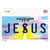 Jesus Mississippi Novelty Sticker Decal