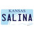 Salina Kansas Novelty Sticker Decal