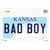 Bad Boy Kansas Novelty Sticker Decal