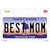 Best Mom South Carolina Novelty Sticker Decal