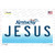 Jesus Kentucky Novelty Sticker Decal