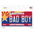 Arizona Centennial Bad Boy Novelty Sticker Decal