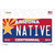Arizona Centennial Native Novelty Sticker Decal