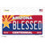 Arizona Centennial Blessed Novelty Sticker Decal