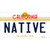 Native California Novelty Sticker Decal
