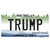 Trump Michigan Novelty Sticker Decal