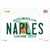 Naples Florida Novelty Sticker Decal