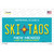 Ski Taos Teal New Mexico Novelty Sticker Decal