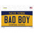 Bad Boy New York Novelty Sticker Decal