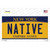 Native New York Novelty Sticker Decal