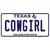 Cowgirl Texas Novelty Sticker Decal